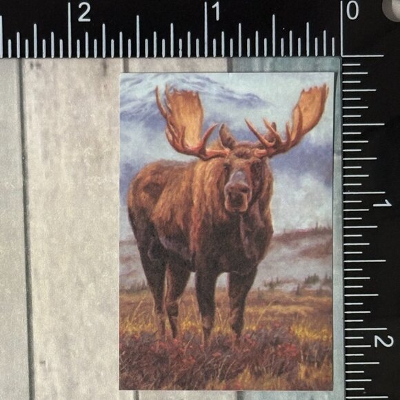 🌀10/$10🌀 Classic Hoofed Beasts Reusable Washi Sticker Decal - Picture 1 of 1